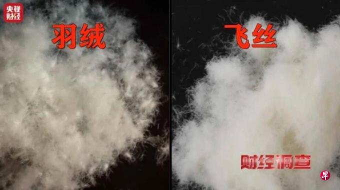 以飞丝冒充羽绒 中国央视曝光羽绒制品企业造假