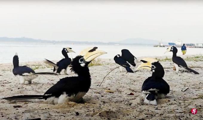 黄伟曼:不让这座城市过度倾斜