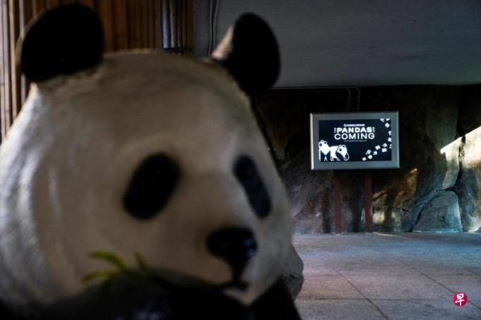 伍国:访问 + 熊猫?中美关系“老调子已唱完”