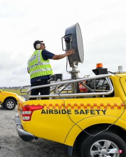 韩空难疑因鸟击导致 专家:机场野生动物控制尤为重要