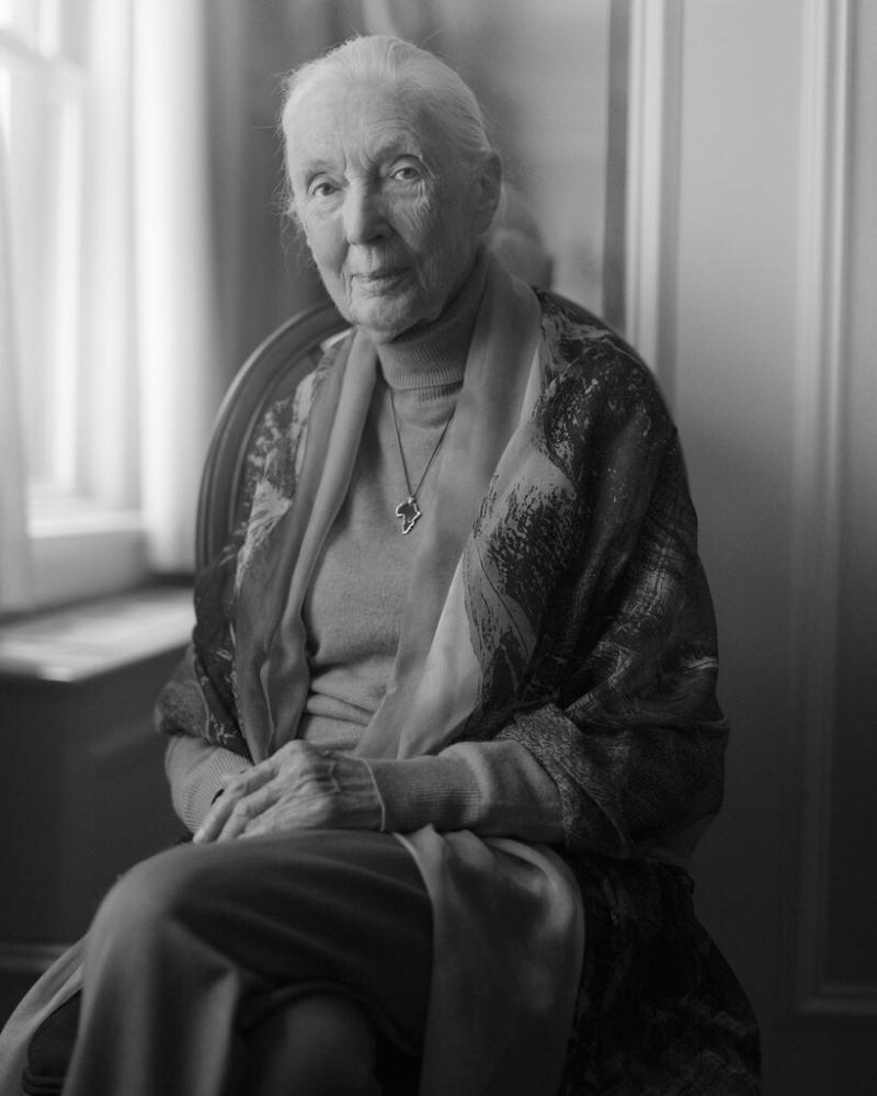 灵长类动物学家、环保活动人士简·古道尔在坦桑尼亚赞助了一个文化综合体。