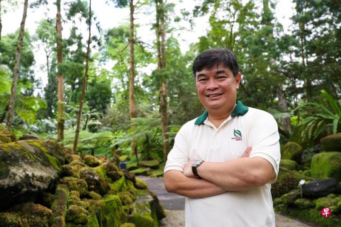 严孟达:我们对古树的三种态度