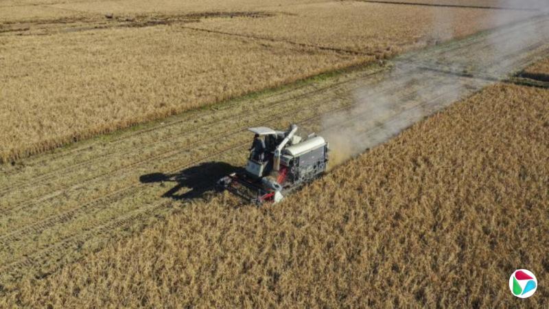 中国国家安全部警告:外国间谍对粮食领域渗透力度加大