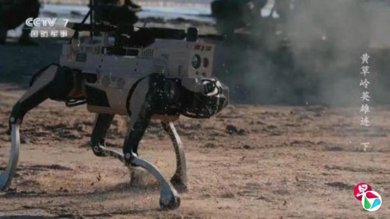 下午察:“机器狼”投入台海战场集群抢滩?