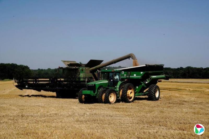 中国一年来首次寻求采购美国小麦