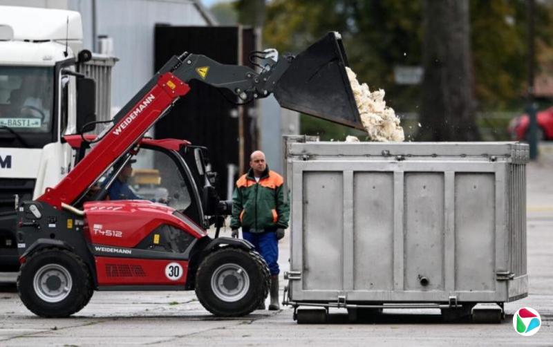 德国禽流感疫情加剧 近百万只禽类被扑杀