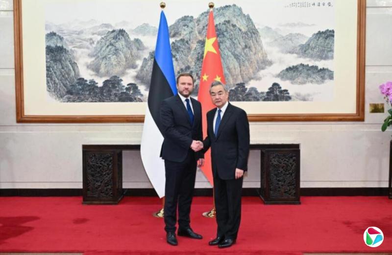 王毅:中国愿同欧盟商签自贸协定