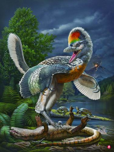 福建首次发现新恐龙化石 取名“奇异福建龙”