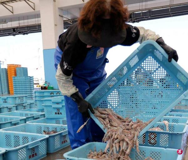 防中国经济胁迫 日本政府年内出台经济安保方针