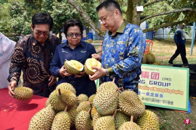 马国希望新鲜榴梿明年外销中国