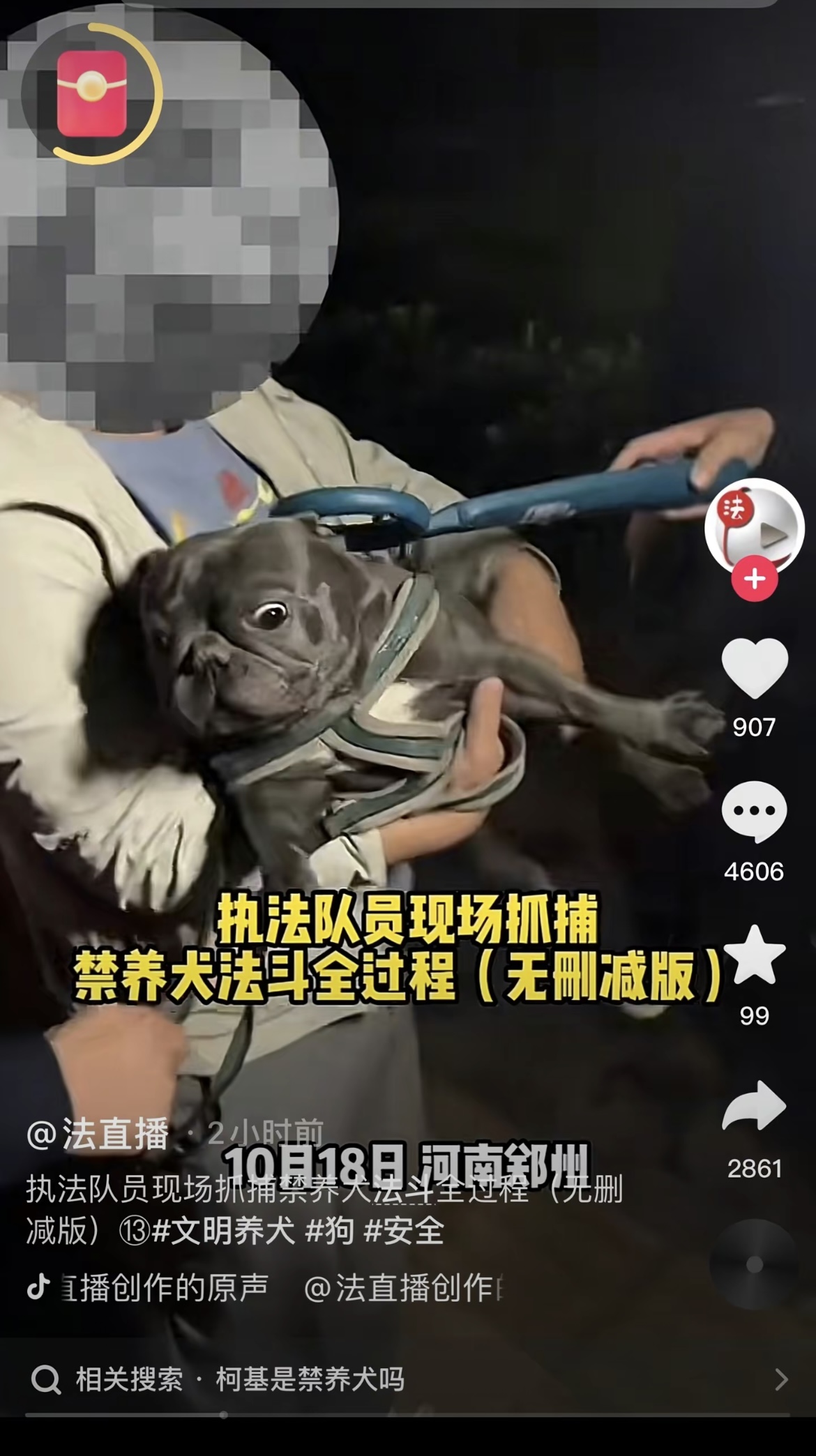 河南执法人员在街头对禁养的宠物法国斗牛犬进行抓捕,引起了诸多网民的不满。(互联网)