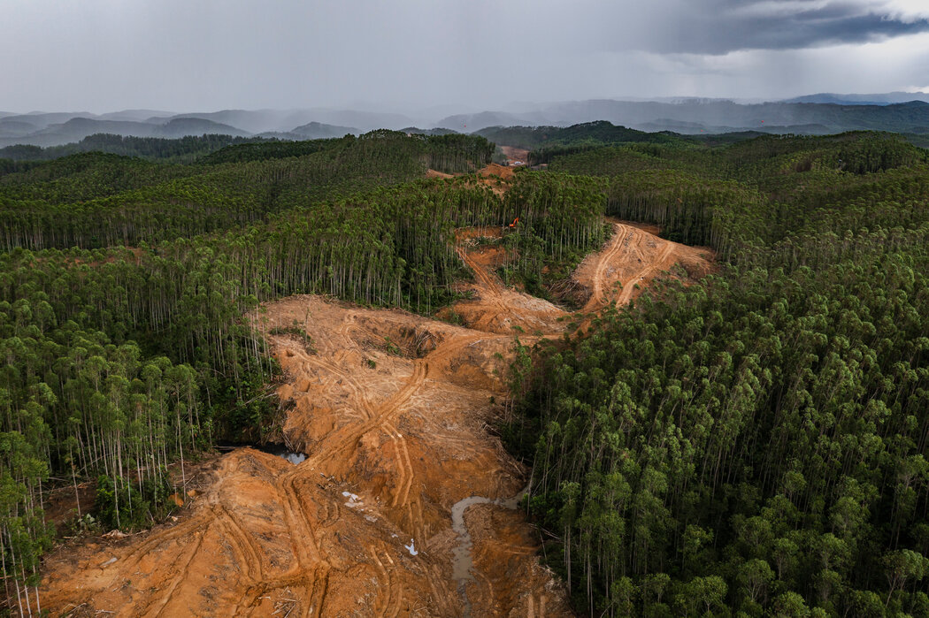 印尼新首都努沙达拉的建设已经开始,为该市在印尼独立日的盛大启用做准备。