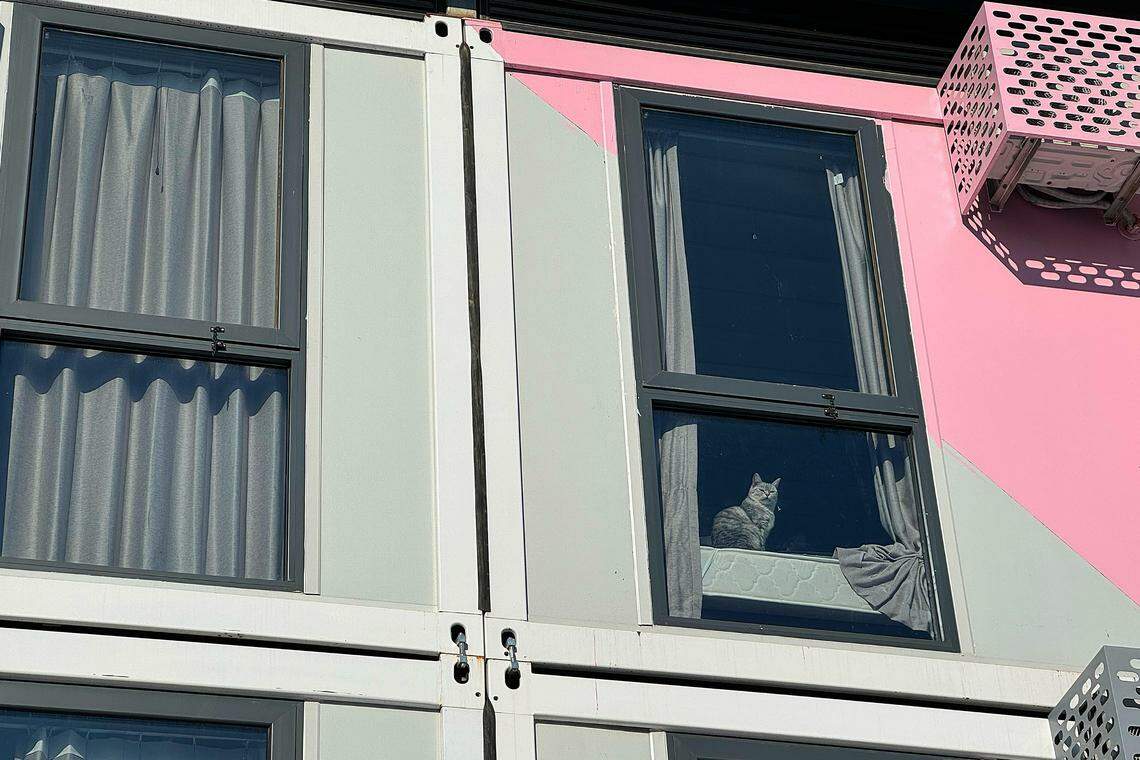 曾严禁宠物的隔离方舱,如今允许住户养宠物。(黄小芳摄)