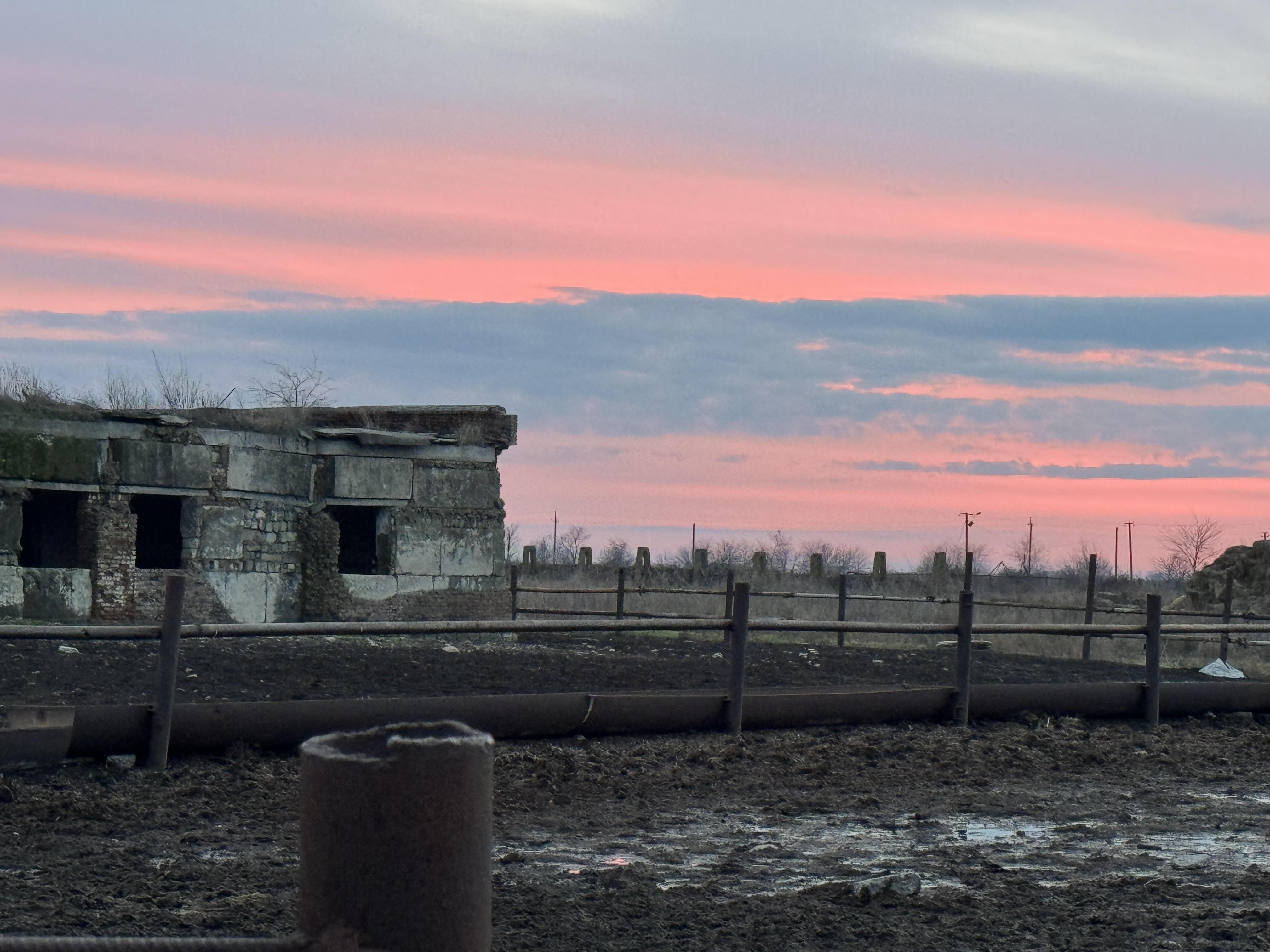 在波萨德—波克罗夫斯克村的阿凡加农场上空,层叠起伏的粉色晚霞泛起,煞是好看。(沈泽玮摄)