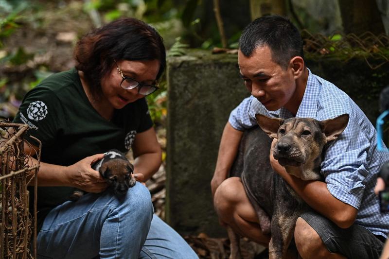 在越南太原省经营肉狗养殖场和屠宰场七年的乔越兴(右)去年决定结束营业并转行。养殖场里原本饲养的狗则交给动物保护组织国际人道协会。(法新社)