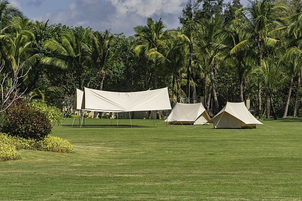 图片来源:视觉中国