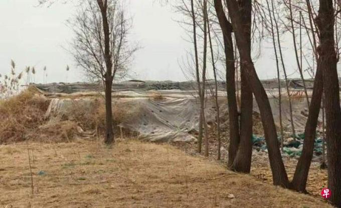 下午察:河北初中生遇害案再揭未成年犯罪之恶