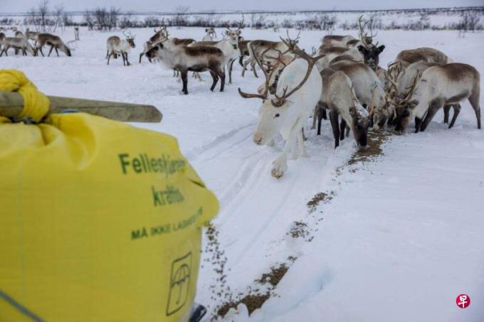 君不见:减碳计划的意外受害者