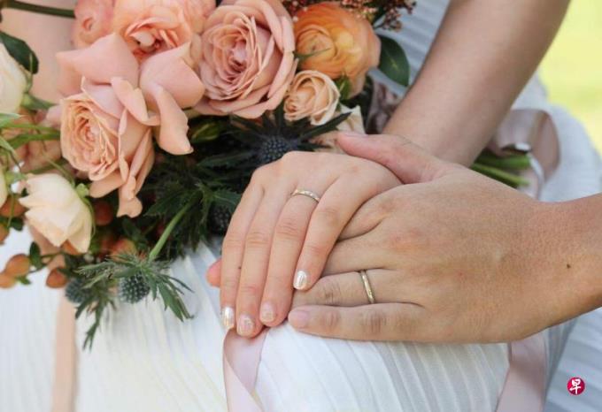 刘文洁:美国传统妻子 田园梦境背后