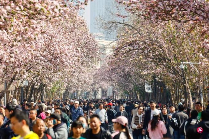 中国清明节假期现国内旅游热潮 赏花踏青主题游需求旺盛