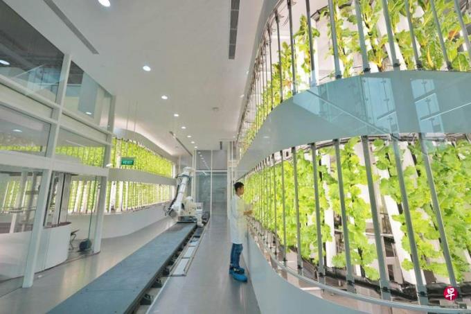 社论:保障粮食安全仍须双轨并进