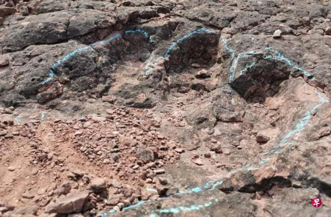 云南禄丰发现1.2亿年前恐龙足迹化石