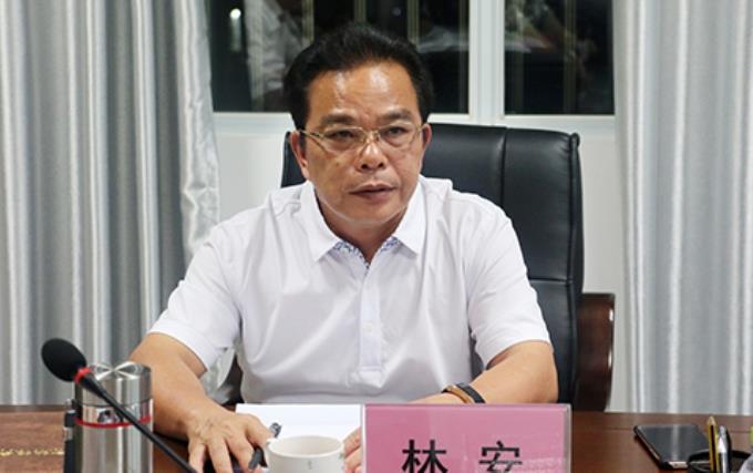 林安主动投案,曾任昌江县县长