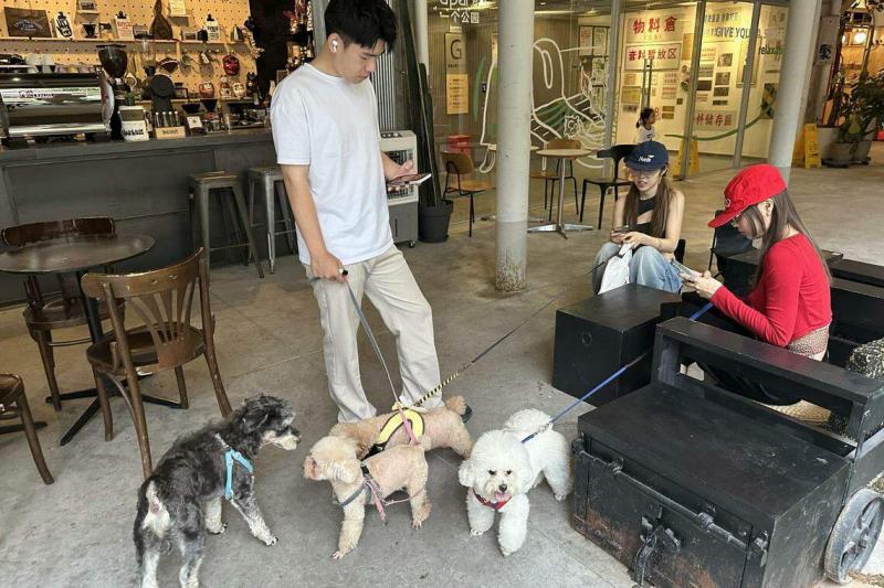 《中国宠物行业白皮书》显示,90后和00后年轻宠主已成为中国的养宠消费主力军。图为深圳青年在“一个公园”聚集的同时,也让宠物进行社交。(林煇智摄)