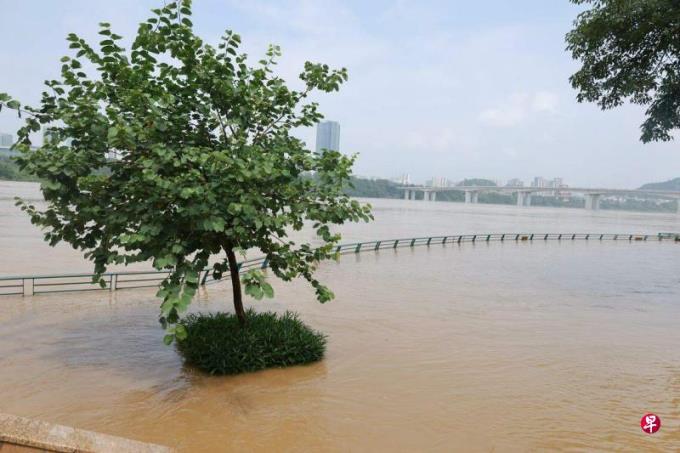 广西部分河段实施水上交通管制 渡口停渡船舶停航