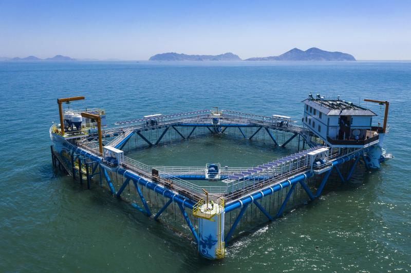 烟台市委、市政府在长岛大力推进现代海洋牧场建设,包括投放图中用来养殖海鱼的深远海智能网箱。(长岛综试区工委管委办公室提供)