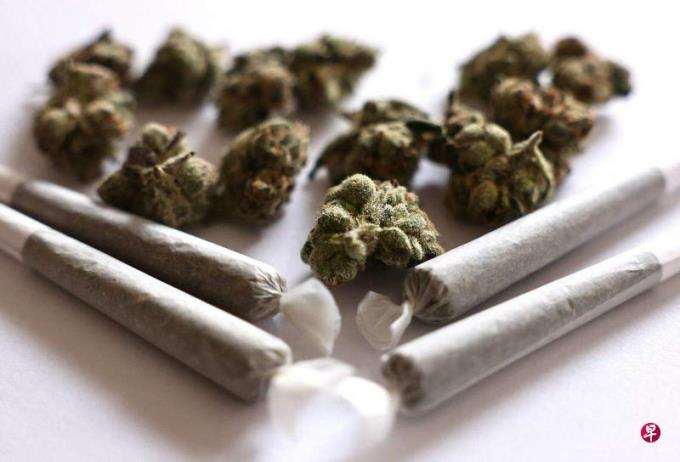 赵敏:在印度与大麻惊奇相遇