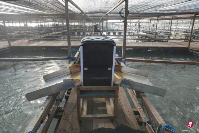 林心惠:本地鲜能成功吗?