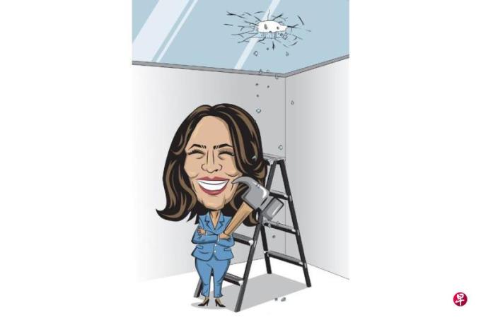 国际特稿:玻璃天花板不破 哈里斯大位难上