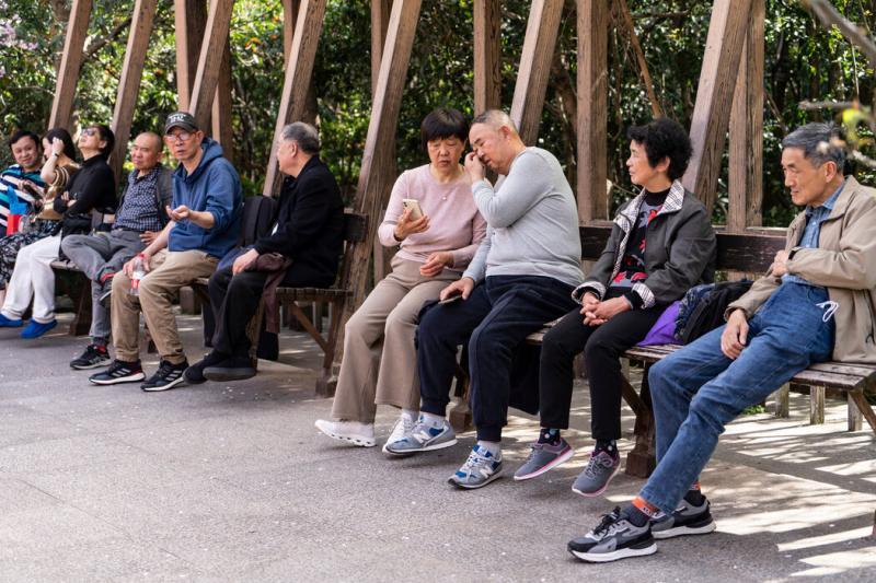 人民公园的相亲角以吸引父母周末来这里为未婚子女找对象而闻名,现在也成为了老年人的社交中心。