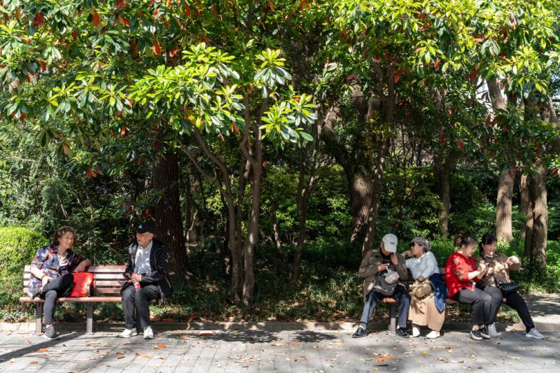 对于上海的老年人来说,在公园聚会是一件不可取代的事。每周都有数百人回到公园里的老地方,希望能遇到未来的伴侣。