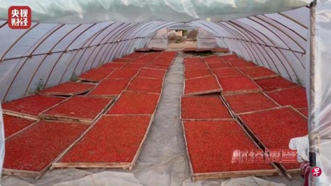 段跃初:莫让毒枸杞伤了消费者的心