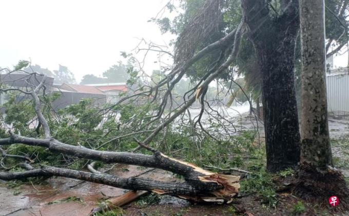 超强台风“摩羯”在广东徐闻二次登陆