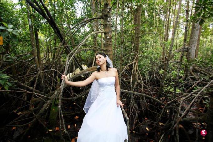 陈玮琪:红树林能守护海岸贯彻可持续发展