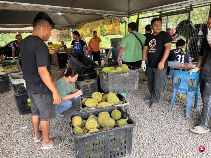 宋明家:鉴定“正宗猫山王”生物技术在路上
