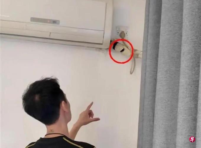 下午察:中国民宿偷拍摄像头曝光冲击地方旅游?