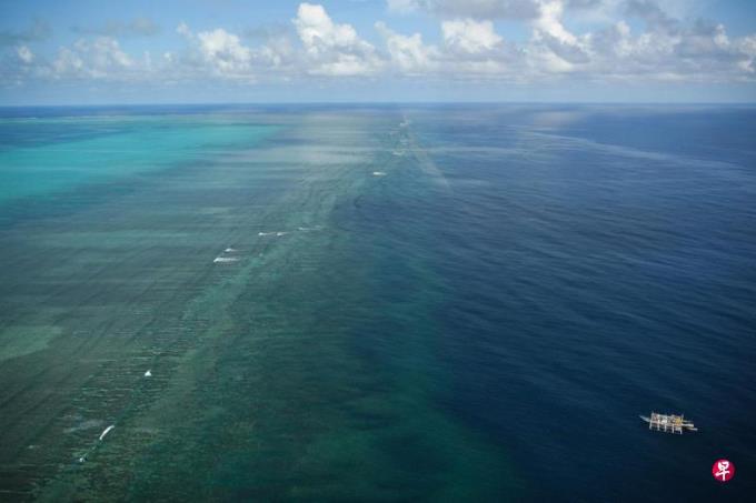 中菲之争殃及海洋生物 科学家吁搁置纷争拯救环境