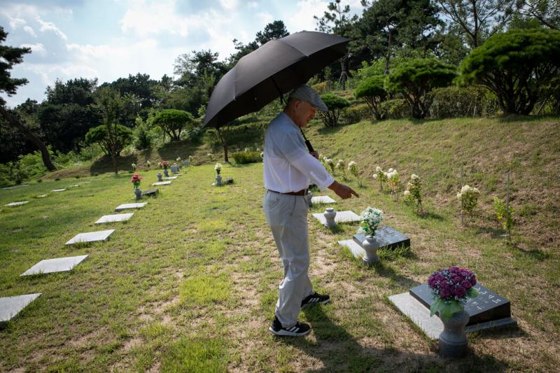 自2016年获释出狱后,朴采书一直待在家乡清州,为族人修建一座墓园,打高尔夫球。