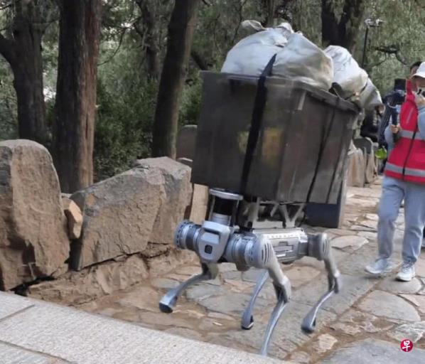 泰山测试机械狗做“挑夫”华春莹发片赞科技造福人类