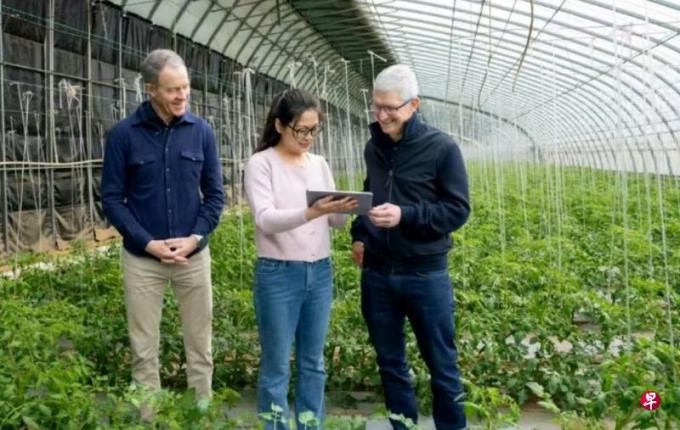 库克参访北京农场 了解iPhone如何推广高效农业实践