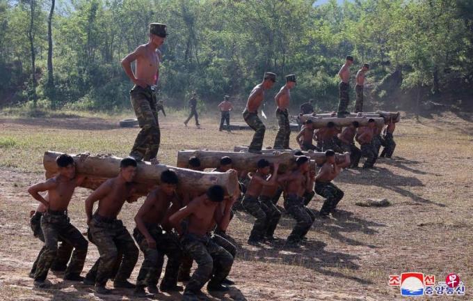 美乌官员:在俄境朝军与乌克兰军队进行有限交火