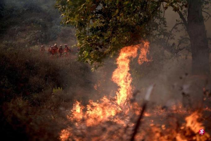 山火焚毁美国加州130所房屋 风势转弱救援加紧进行