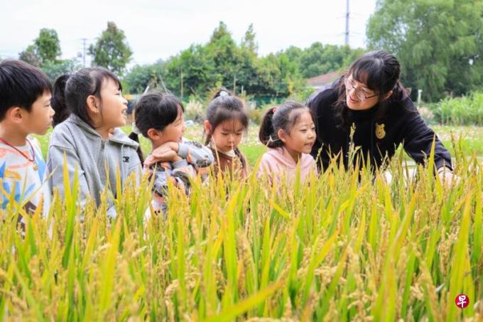 中国教育部:幼儿园聘任工作人员需做背景查询和健康检查