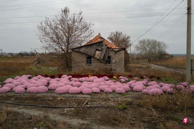 俄入侵乌克兰千日 G7重申持续让俄付出惨重代价