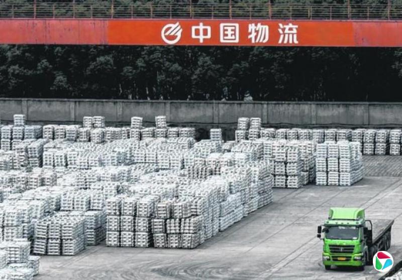 卡拉·诺尔勒夫:关税人的风险赌注