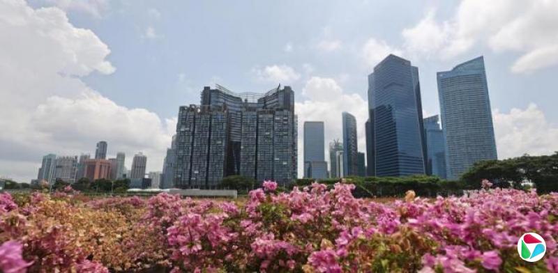 社论:SG60预算案共享成果